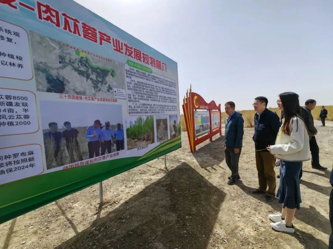 第十二屆國際肉蓯蓉暨沙生中藥材學術研討會及中國中藥協會沙地中藥材專業委員會成立大會在新疆召開