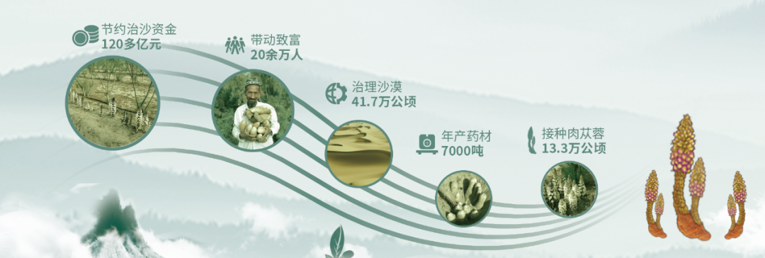 肉蓯蓉全產業鏈發展新模式的創建與應用